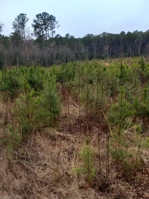 Lot 9 Saw Mill Lane, Gloucester, VA 23061 - Image #2