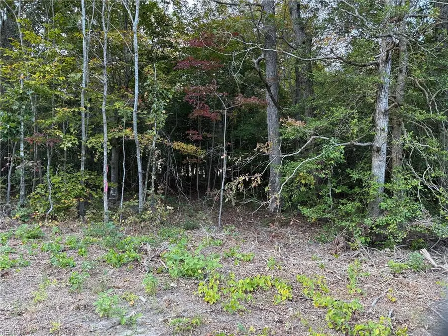 3.02AC Hog Island Lot 1 Road, Surry, VA 23883 - Image #2