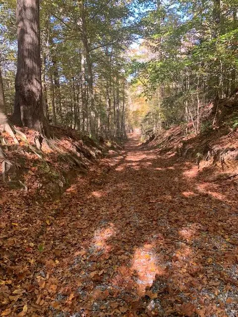 17+ac T.c. Walker Rd (off Of). Rt. 629 Lane, Gloucester, VA 23061 - Image #3