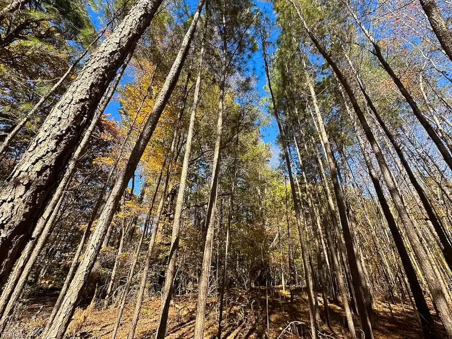 15ac Hills Drive, Dewitt, VA 23840 - Image #2