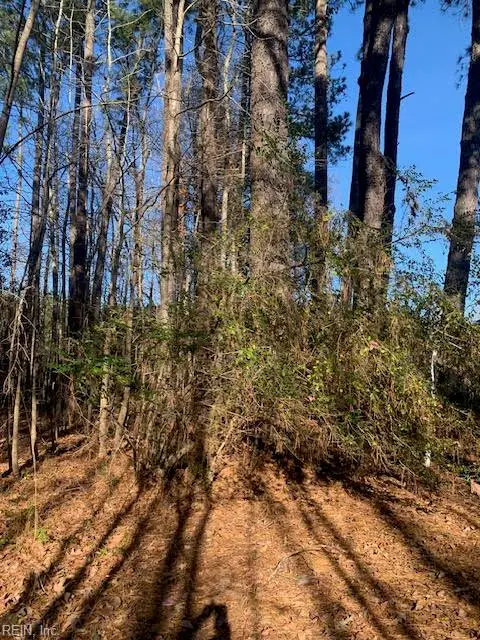 Lot 23 Chambliss Road, Emporia, VA 23847 - Image #3