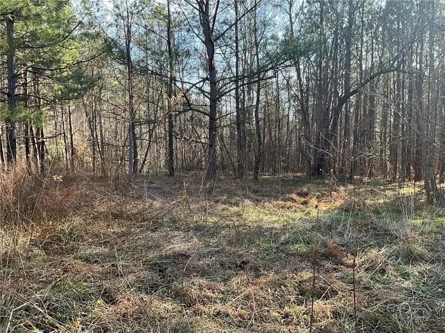 17.4AC Salem Wood Road, Gloucester, VA 23061 - Image #3