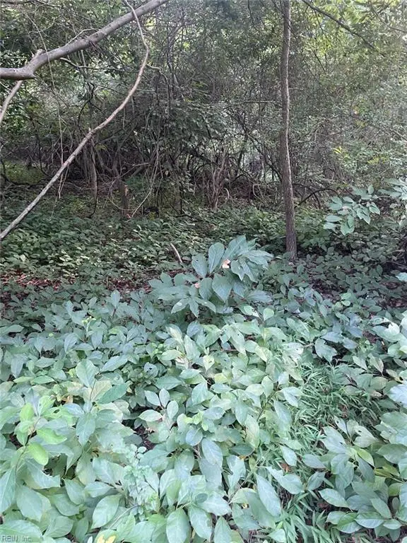 200 Campbell Lane, Newport News, VA 23602 - #1