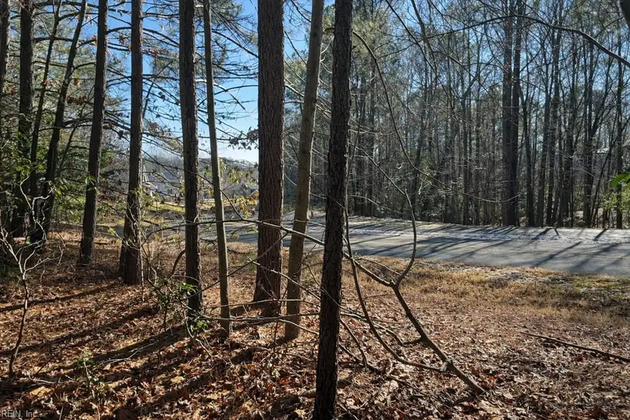 9983 Mill Pond Run, Toano, VA 23168 - Image #3