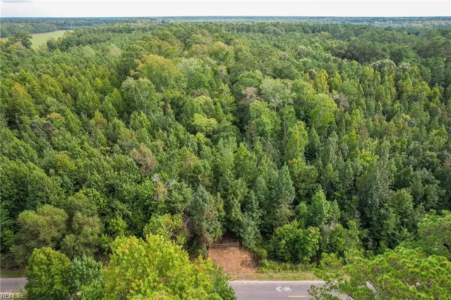 2.5 Ac Dismal Swamp Canal Trail, Chesapeake, VA 23322 - Image #3