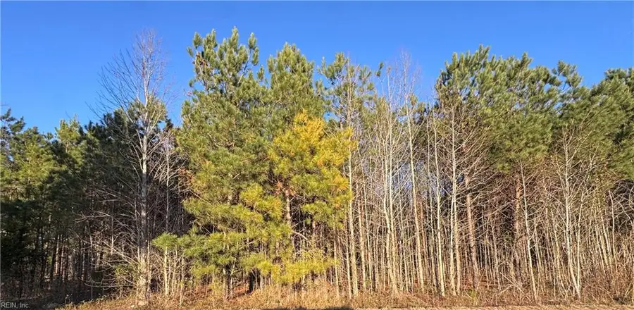 Lot 3 Carsley Road, Dendron, VA 23839 - #2