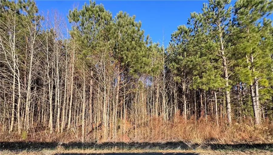Lot 3 Carsley Road, Dendron, VA 23839 - #3