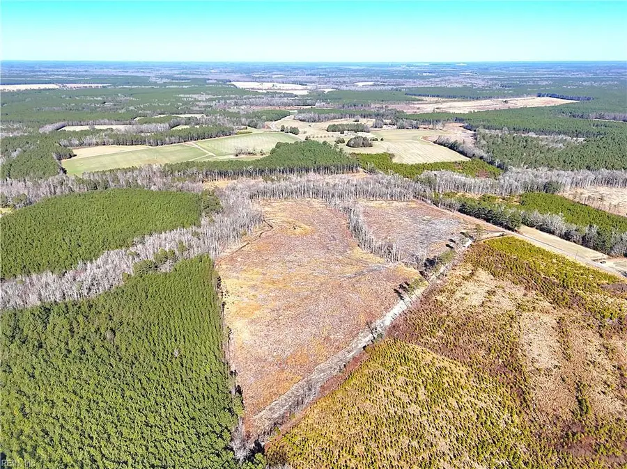 31.5ac Courthouse Road, Waverly, VA 23890 - Image #3