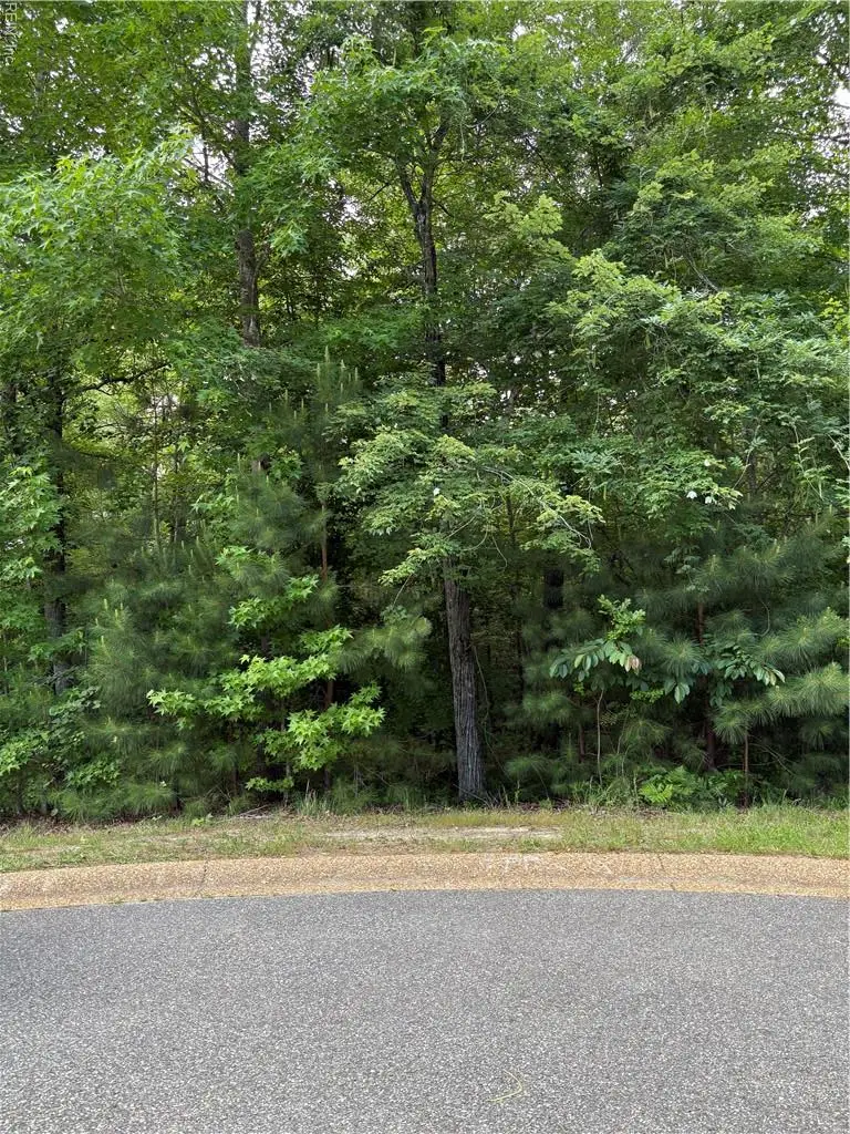 119 Hurlston, Williamsburg, VA 23188 - #2