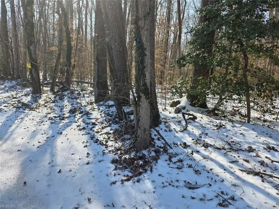 10+AC Whitetail Drive, Gloucester, VA 23061 - Image #3