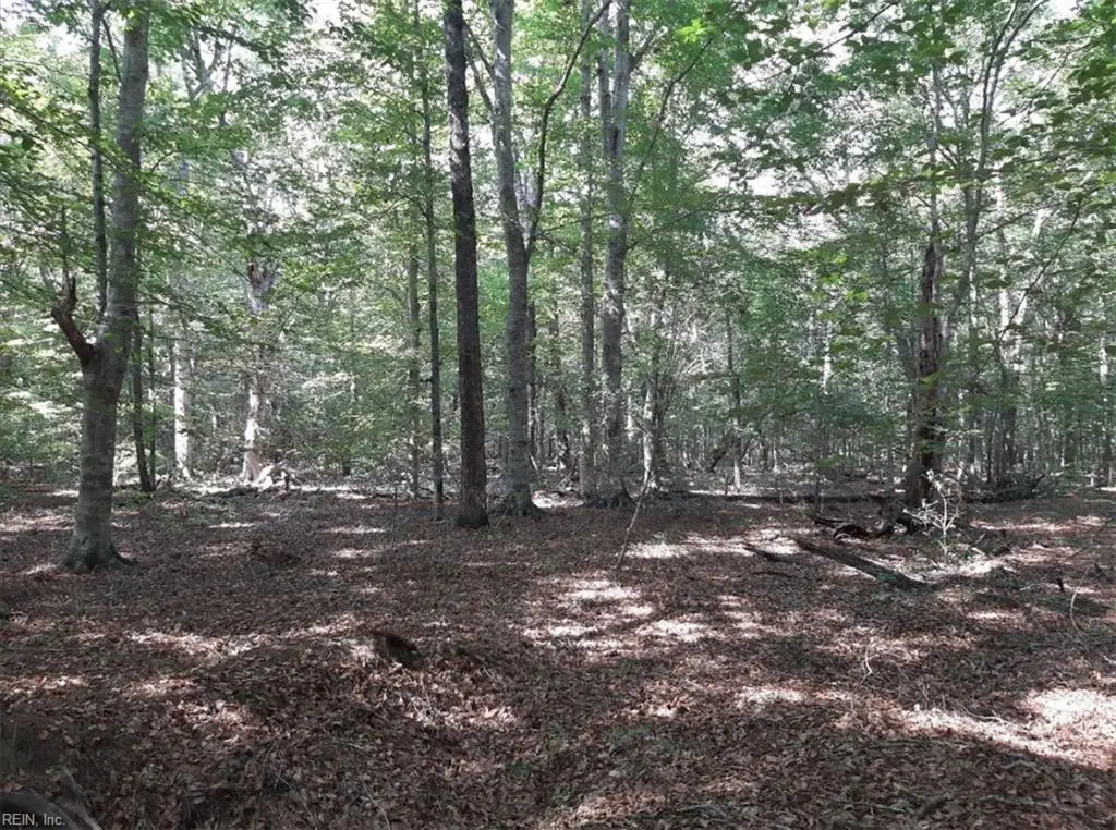 6592 Blackwater Road, Virginia Beach, VA 23457 - #1