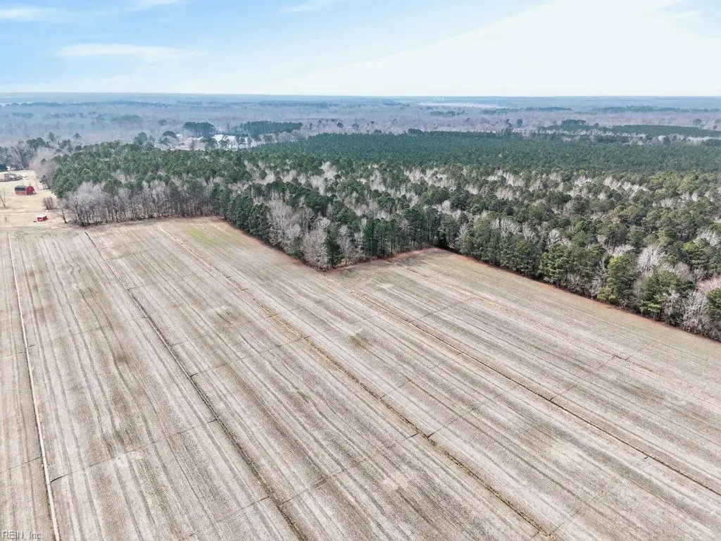 556 Gallbush Road, Chesapeake, VA 23322 - #1