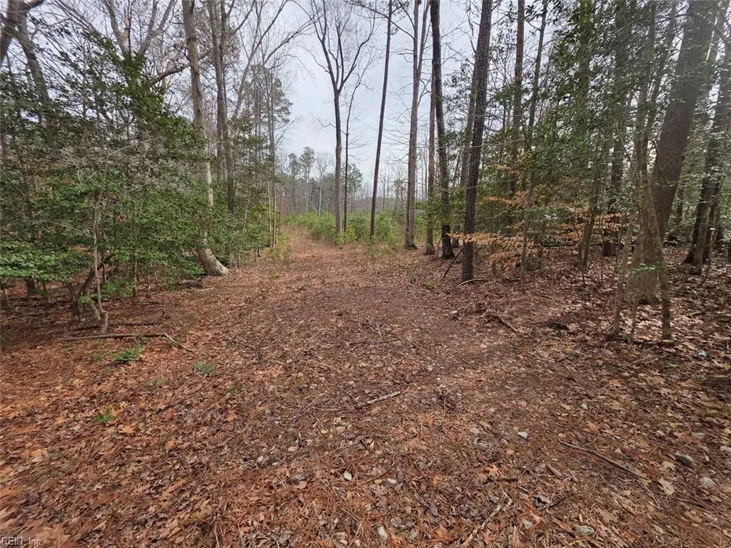 3.1+AC Buckskin Trail, Gloucester, VA 23061 - #1