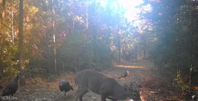 Lot 6 Fox Chase Drive, Dendron, VA 23839 - #1