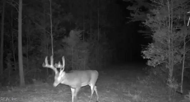 Lot 6 Fox Chase Drive, Dendron, VA 23839 - #2