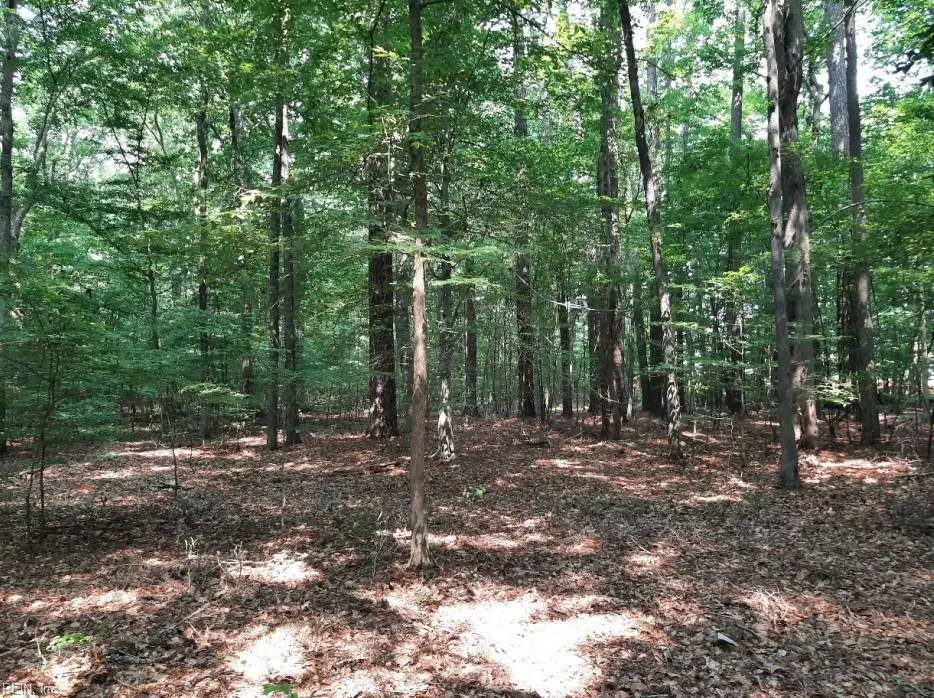 6628 Blackwater Road, Virginia Beach, VA 23457 - #1