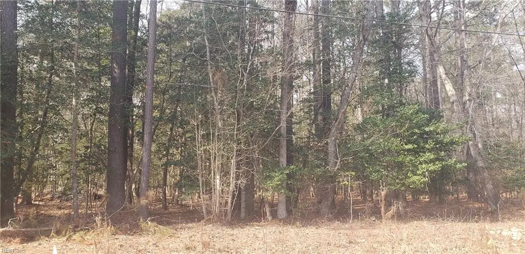 70 Homestead Lane, Franklin, VA 23851 - #1