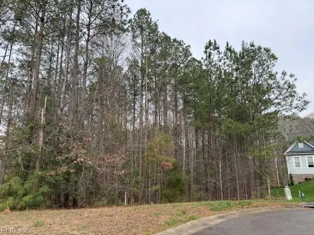 11794 Red Cross Bill Way, Providence Forge, VA 23140 - #3