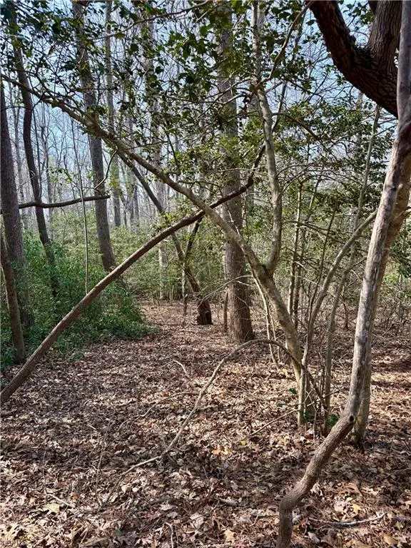 8135 Wrenfield Dr Drive, Williamsburg, VA 23188 - #2