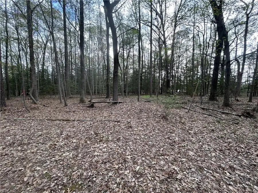 0.92AC Fenwood Court, Smithfield, VA 23430 - #3