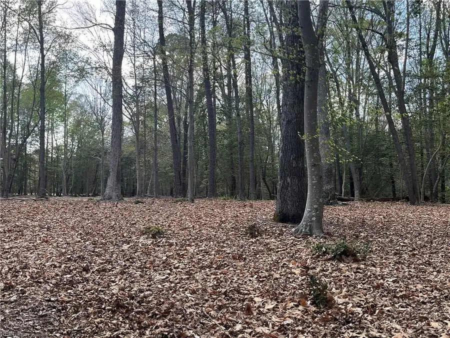 Lot 1 Cobham Wharf Road, Surry, VA 23883 - #2