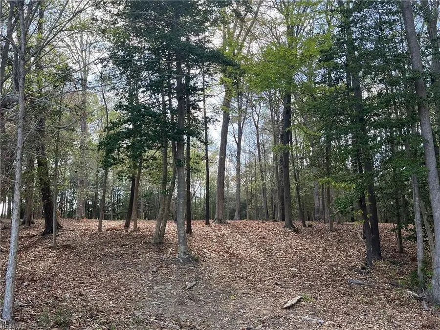 Lot 2 Eagle Lane, Surry, VA 23883 - #2
