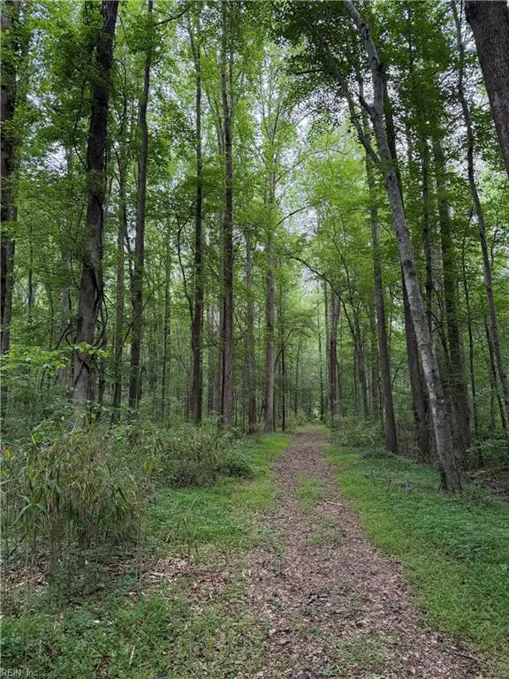 Lot 40 Caddie Street, Chesapeake, VA 23322 - #1