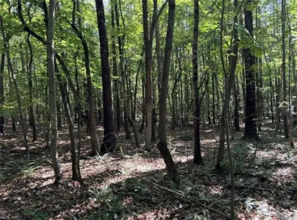 44 AC Blue Jay Street, Danville, VA 24541 - #1