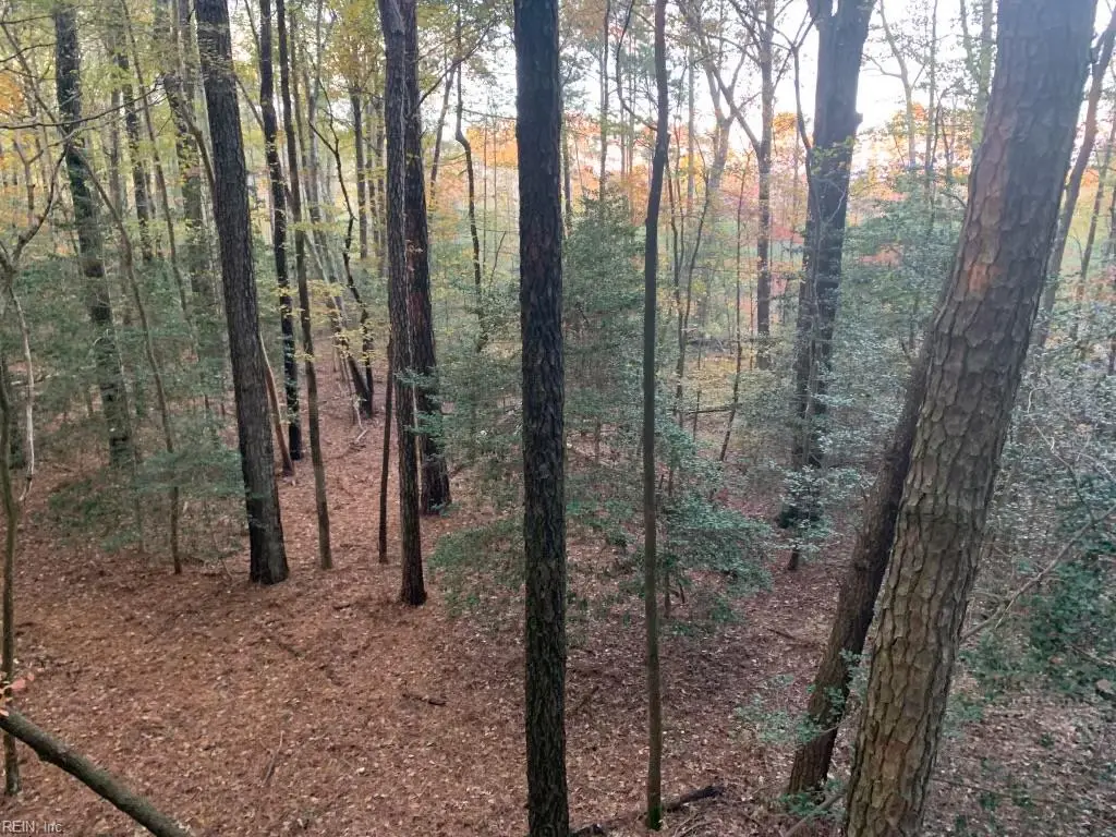 10+AC Groton Tract A Woods, Onancock, VA 23417 - #1