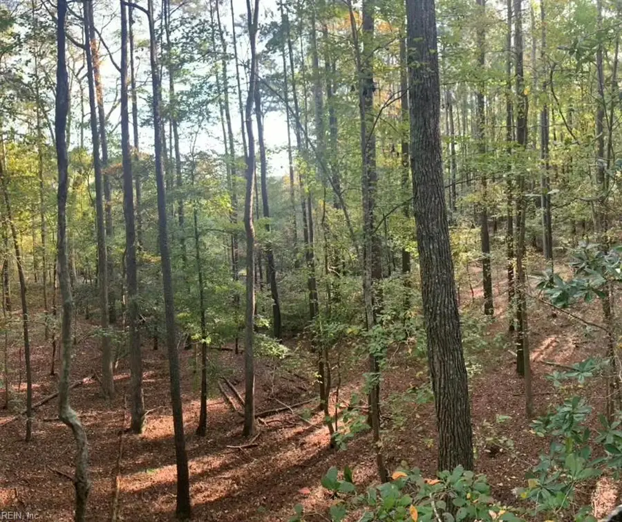 10+AC Groton Tract A Woods, Onancock, VA 23417 - #2