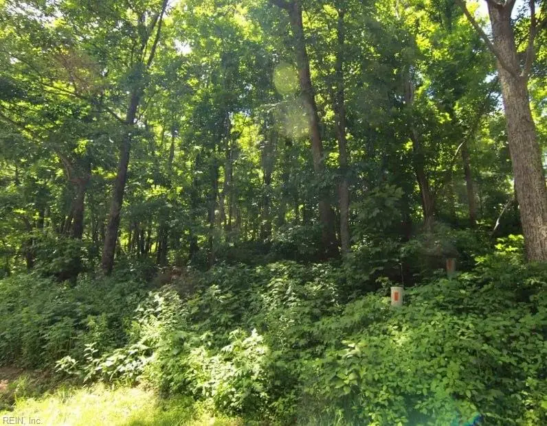 270 Timber Camp Lot 46 Drive, Roseland, VA 22967 - #1
