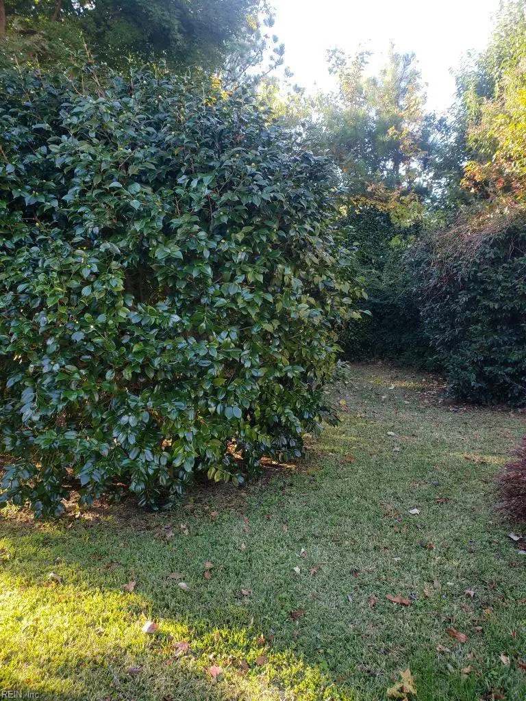 1316 Oakmont Place, Norfolk, VA 23513 - #3