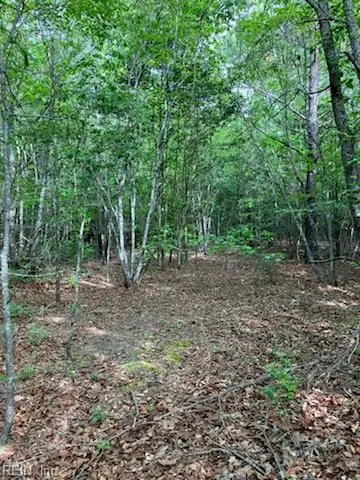 .55acs E Nottoway Drive, Courtland, VA 23837 - #3