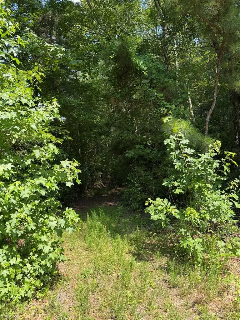 1737 Binford Street, Chesapeake, VA 23322 - #1
