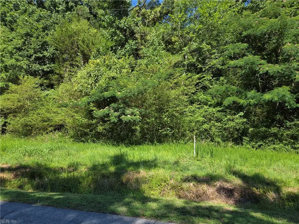 Lot 3 Branch Bridge Street, Branchville, VA 23828 - #1