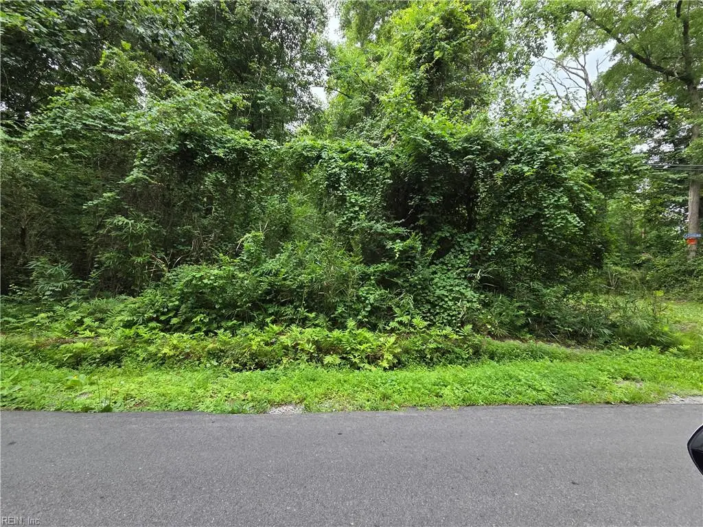 .37 Acre Mineral Spring Road, Suffolk, VA 23438 - #1