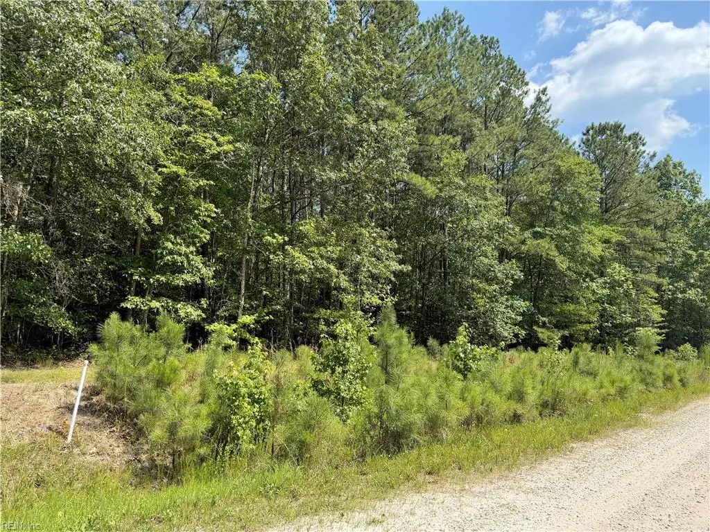 14 Fox Chase Drive, Dendron, VA 23839 - #1
