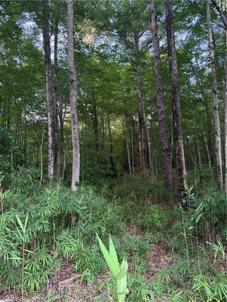 Lot 9 Tuck Street, Chesapeake, VA 23322 - #1