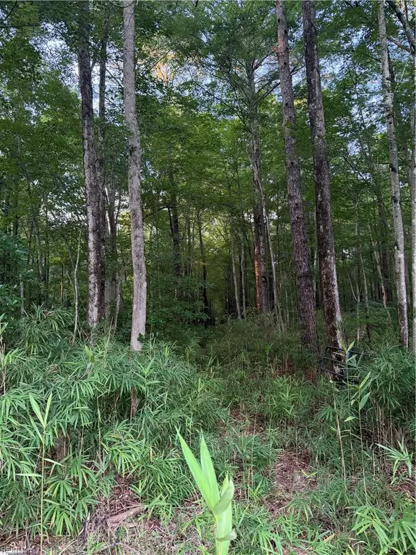 Lot 9 Tuck Street, Chesapeake, VA 23322
