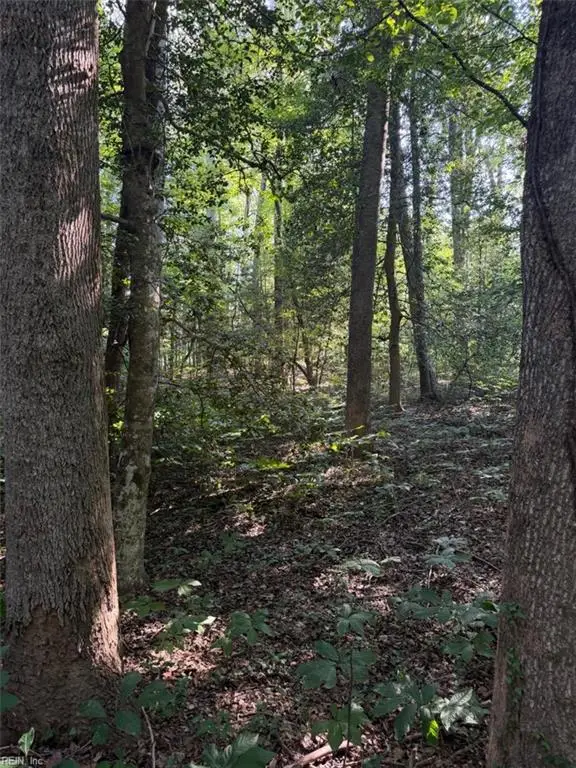 1.27ac Ware Street, Gloucester, VA 23061 - #2