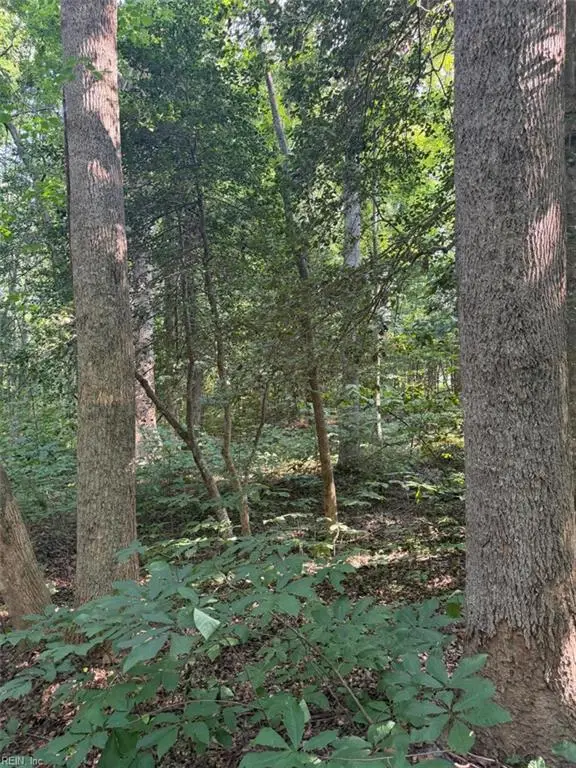 1.27ac Ware Street, Gloucester, VA 23061 - #3