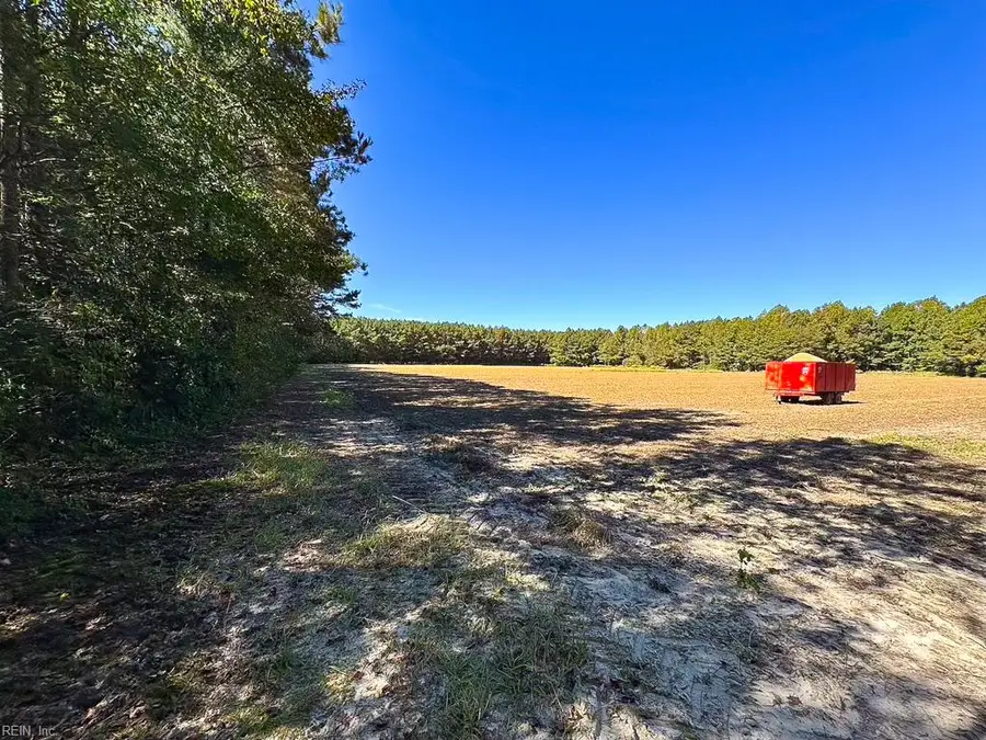 45.5 Acres Cypress Chapel Road, Suffolk, VA 23434 - #2