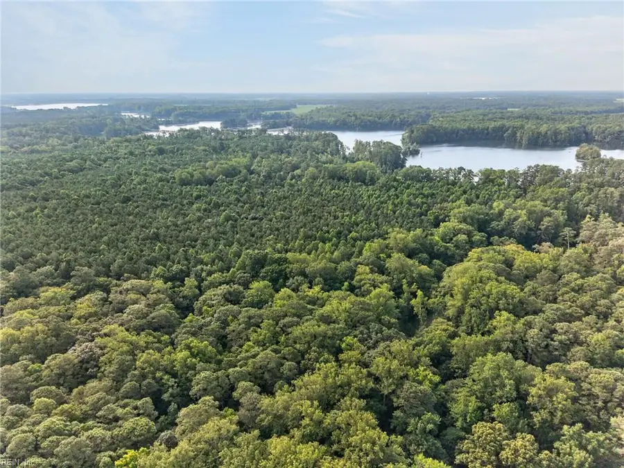 73.58 Ac Milners Road, Suffolk, VA 23434 - #3