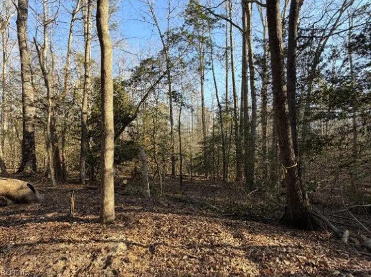 4.68AC King William Road, King William, VA 23086 - #1