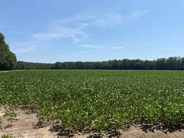 172 Ac Georgetown Road, Waverly, VA 23890 - #3