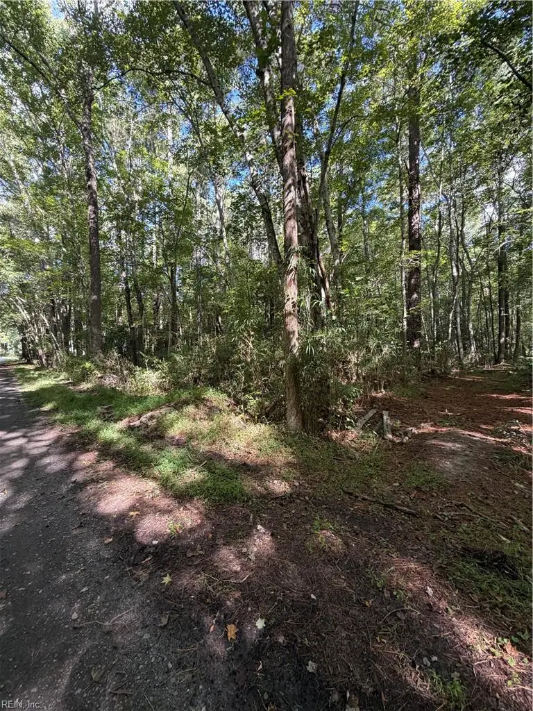 1620 Tuck Street, Chesapeake, VA 23322 - #1