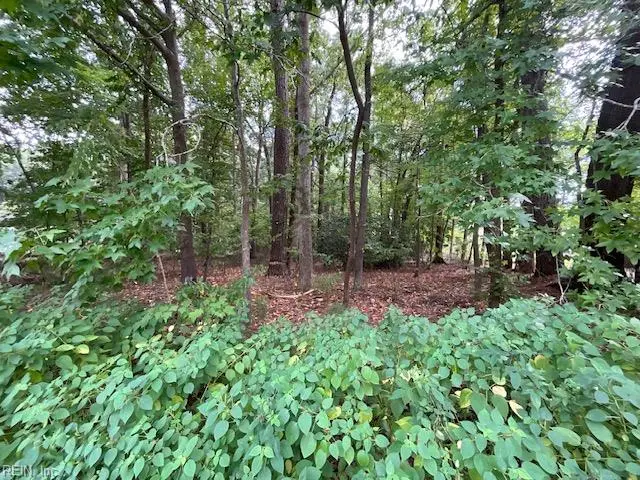 0 Maple Drive, Chesapeake, VA 23321 - #1