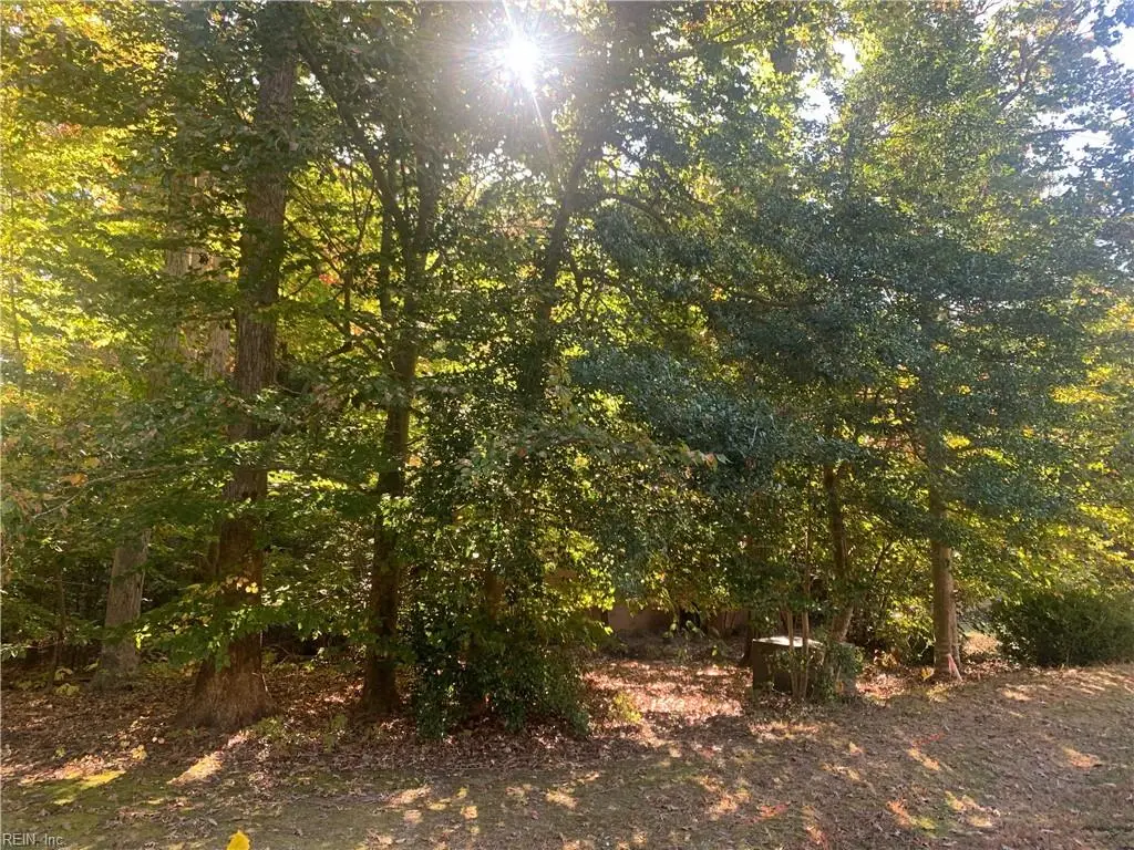 184 Heritage Point, Williamsburg, VA 23188 - #1