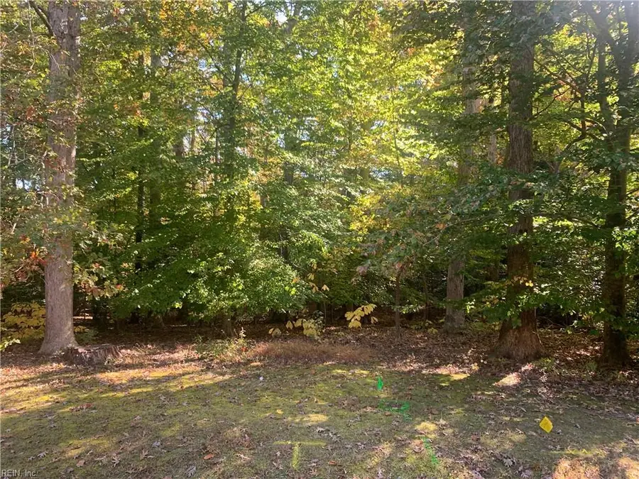 184 Heritage Point, Williamsburg, VA 23188 - #3