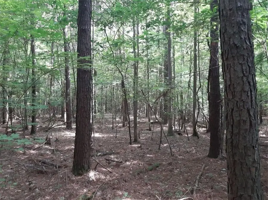6664 Blackwater Road, Virginia Beach, VA 23457 - #2